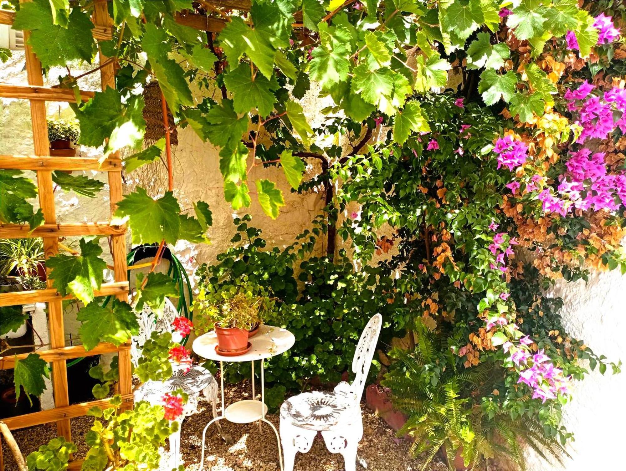 Casa Shyshka Country Cottage Periana Eksteriør bilde