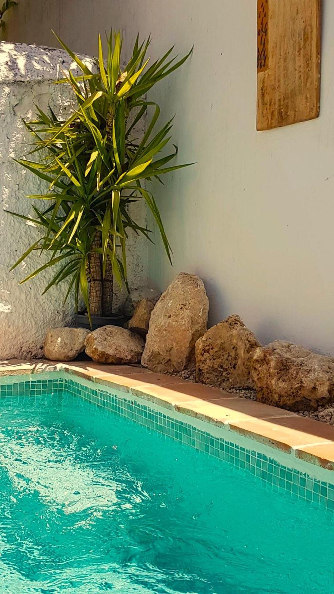 Casa Shyshka Country Cottage Periana Eksteriør bilde